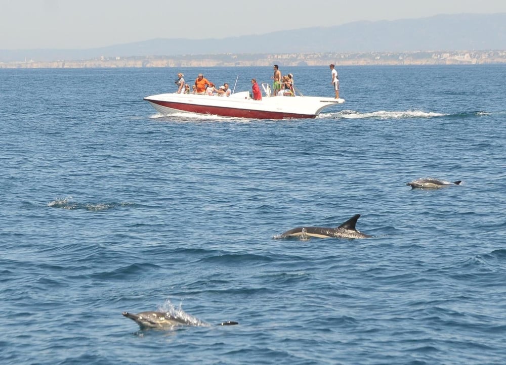 Boutique Hotel Marina S Roque — Attractions in the area in Lagos, Faro