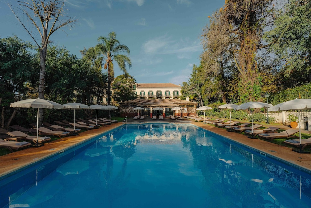 Quinta da Bela Vista - Madeira — Swimming pool in Funchal, Madeira
