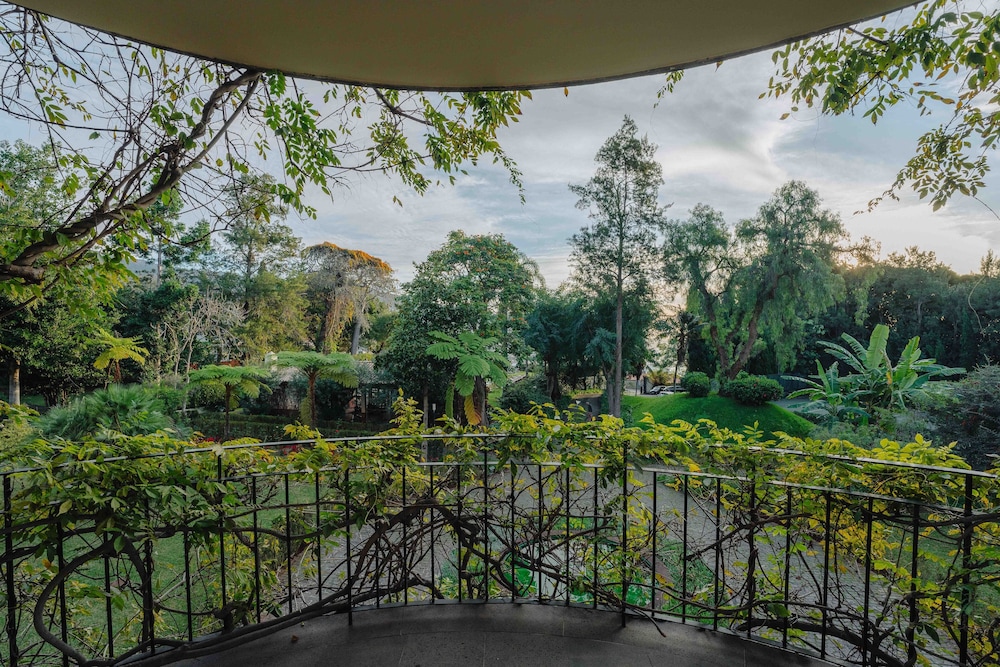 Quinta da Bela Vista - Madeira — Attractions in the area in Funchal, Madeira