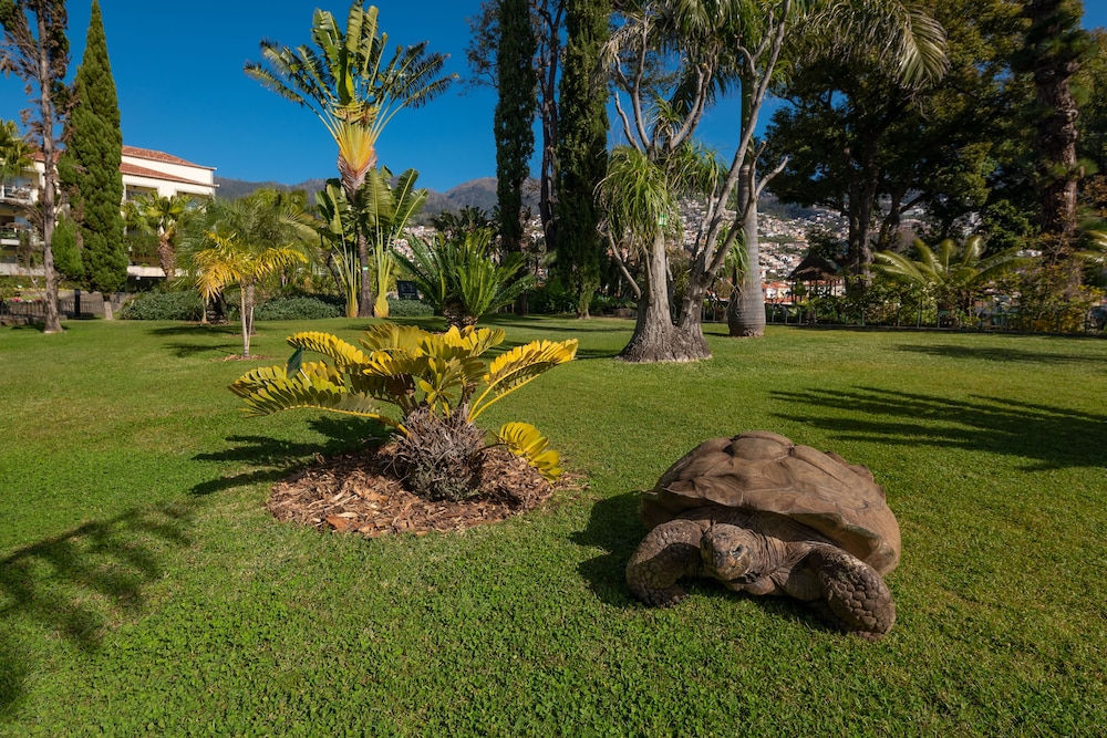 Quinta Jardins do Lago — Attractions in the area in Funchal, Madeira