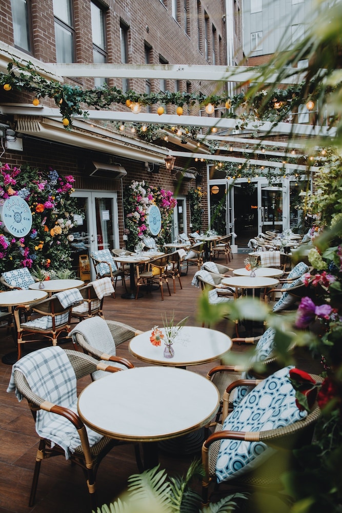 Iveagh Garden Hotel — Restaurant & bars in Dublin, Dublin City