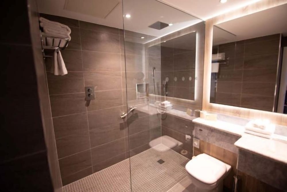 Iveagh Garden Hotel — Hotel rooms in Dublin, Dublin City