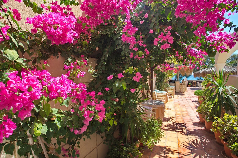 The Boathouse Hotel — Restaurant & bars in Kamari, South Aegean
