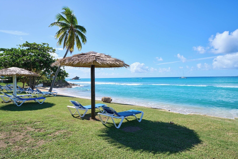 Hawksbill Resort Antigua — Beach in St. John's