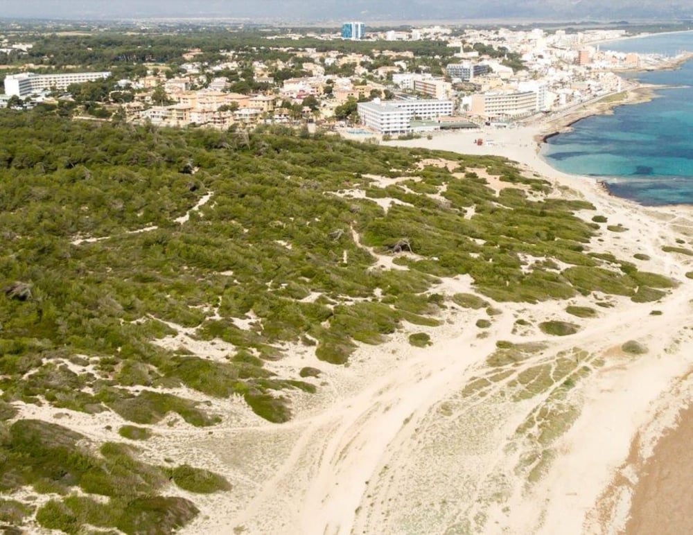 Hotel Son Baulo — Attractions in the area in Can Picafort, Balearic Islands