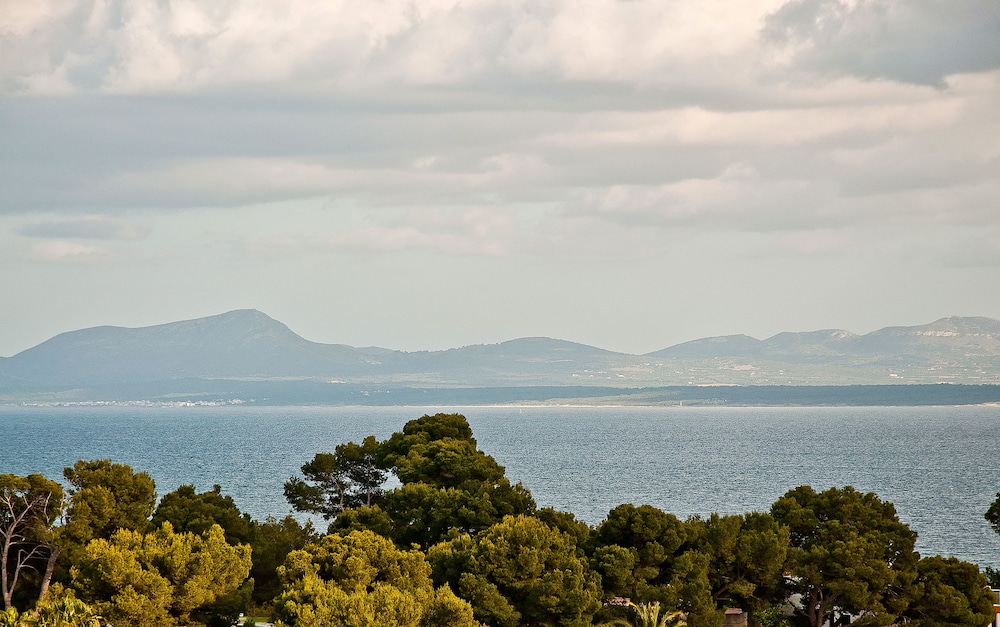 BQ Delfín Azul Hotel — Attractions in the area in Alcudia, Balearic Islands