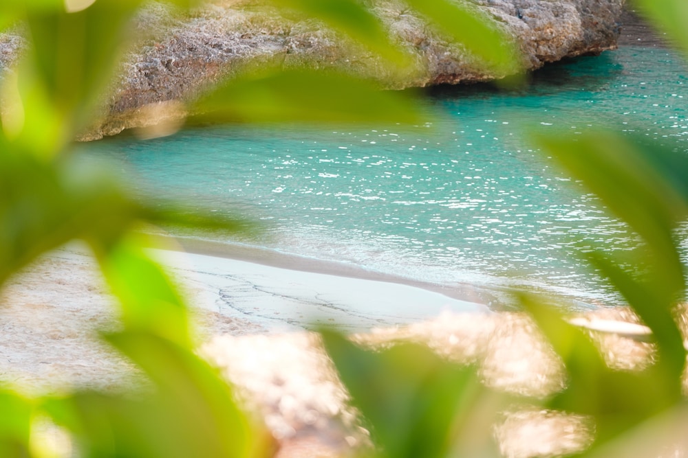 Hotel Cala Dor - Adults Only — Beach in Cala d´Or, Balearic Islands