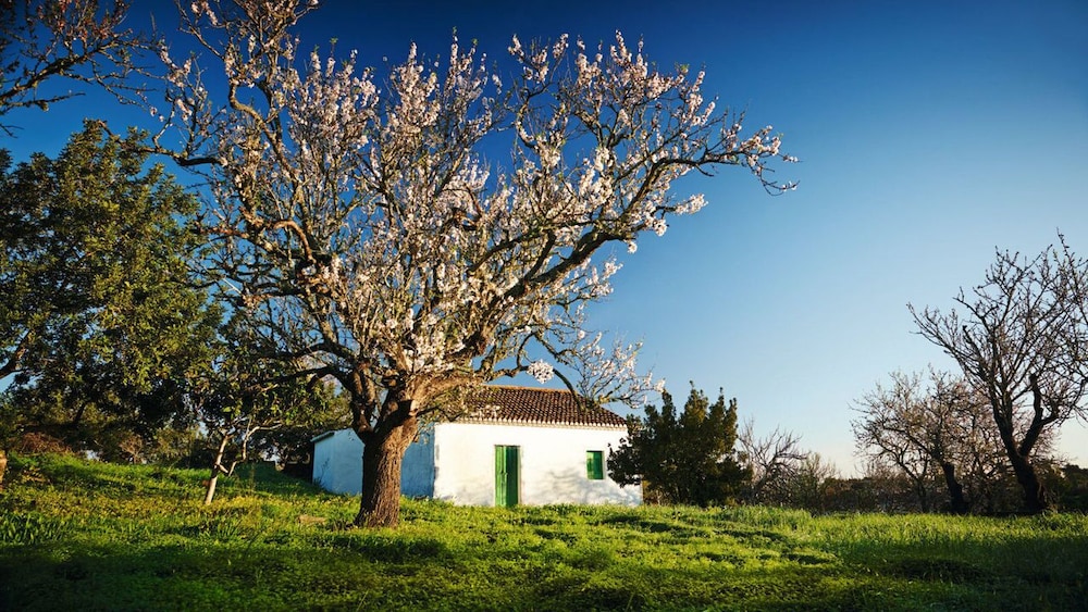 Vale d'Oliveiras Quinta Resort & Spa — Attractions in the area in Carvoeiro, Faro