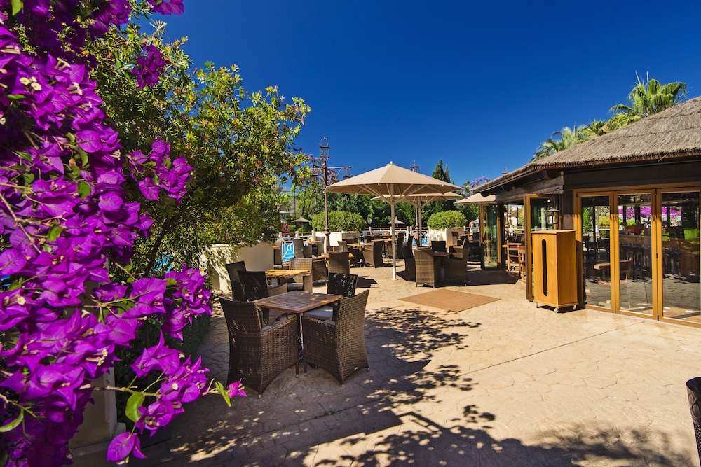 Lindner Hotel Mallorca Portals Nous, part of JdV by Hyatt — Restaurant & bars in Portals Nous, Balearic Islands