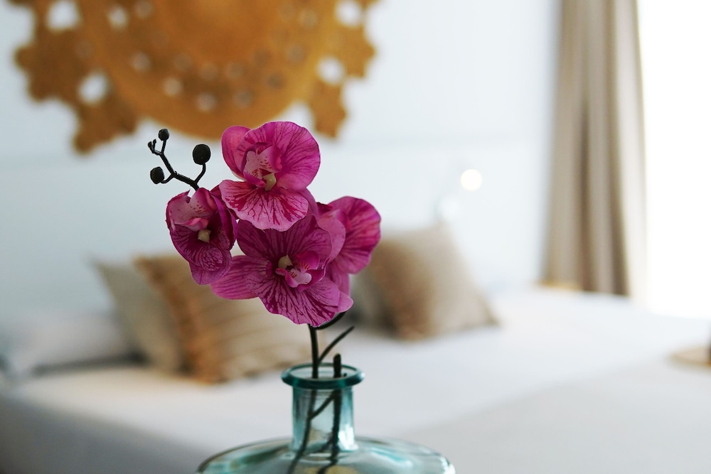 Marina Playa Hotel Apartments by Typic Hotels – Adults Only — Hotel rooms in San Antonio, Balearic Islands