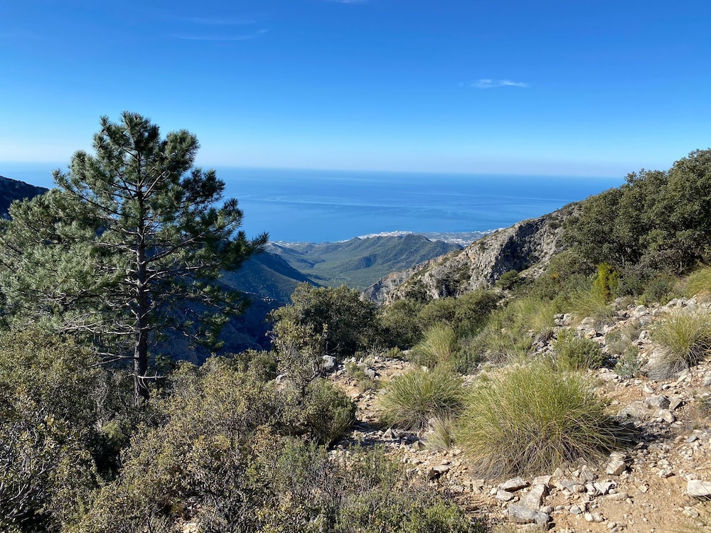 Hotel Perla Marina — Attractions in the area in Nerja, Andalusia