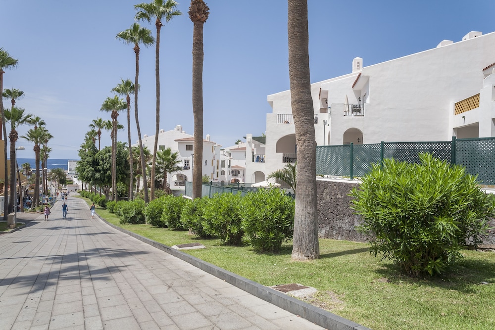 Hilton Vacation Club Sunset Harbour Club Tenerife — Hotel building in Costa Adeje, Canary Islands