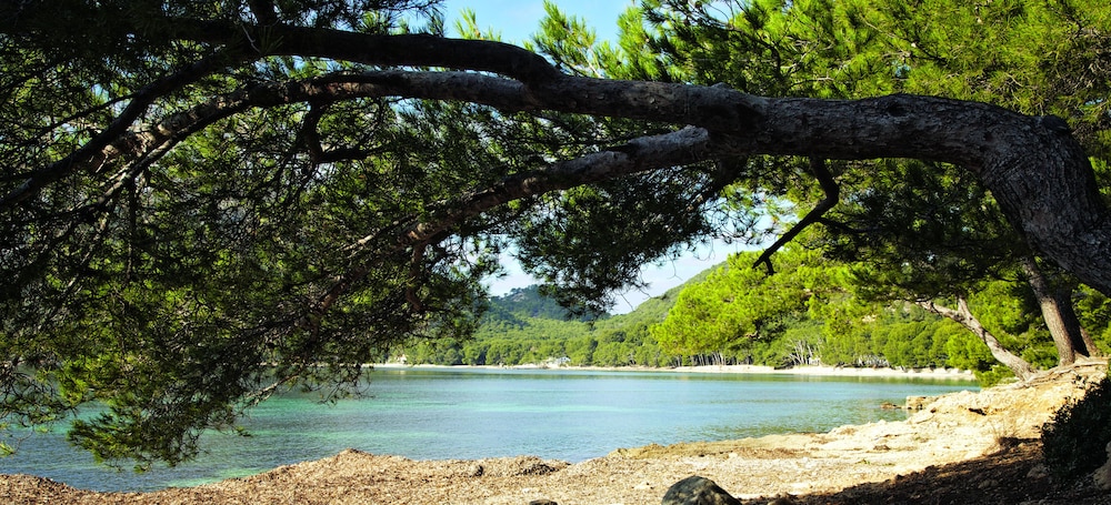 Puerto Azul Suite Hotel — Beach in Puerto Pollensa, Balearic Islands