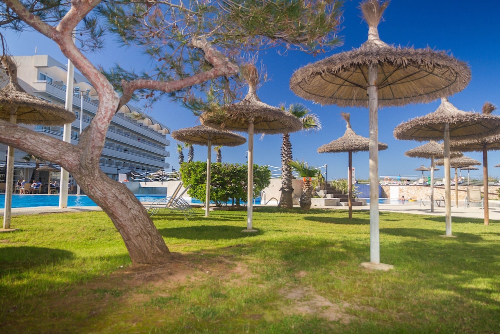 Eix Platja Daurada Hotel & Spa — Beach in Can Picafort, Balearic Islands