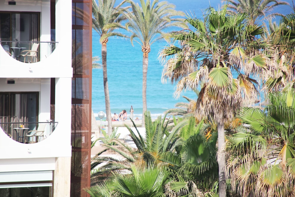 Hotel Playa Golf - Adults Only +16 — Beach in Playa de Palma, Balearic Islands