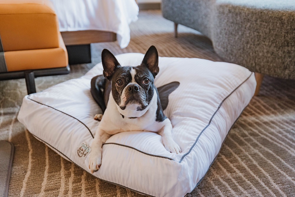 The Westin Book Cadillac Detroit — Hotel rooms in Detroit, Michigan