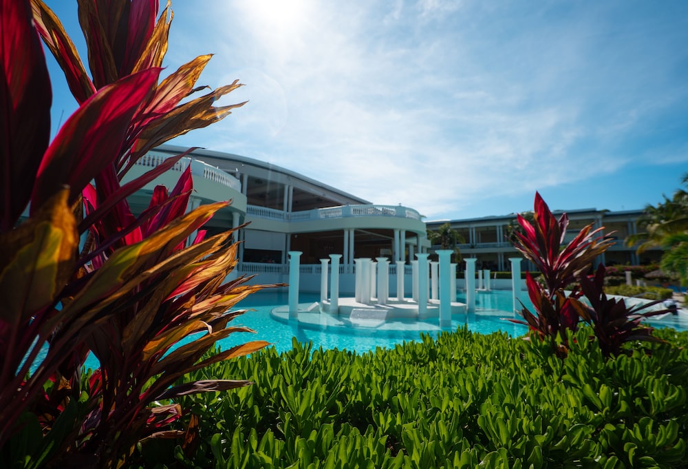 Grand Palladium Lady Hamilton Resort & Spa All Inclusive — Swimming pool in Lucea