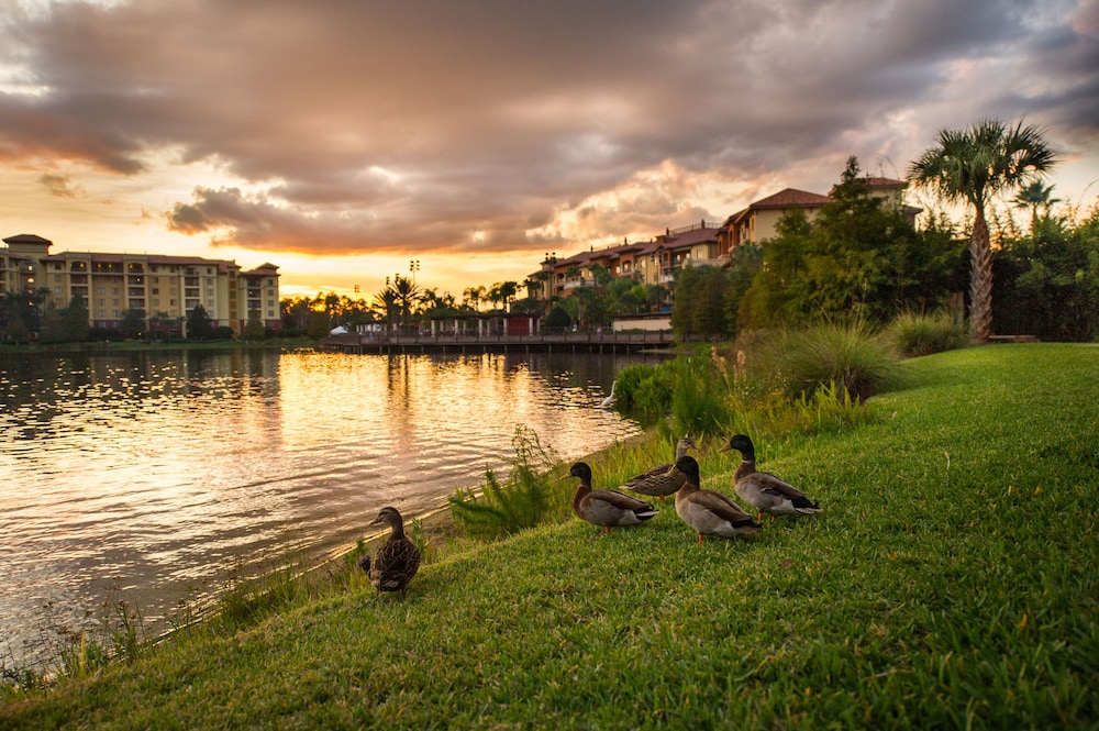 Wyndham Grand Orlando Resort Bonnet Creek — Attractions in the area in Orlando, Florida