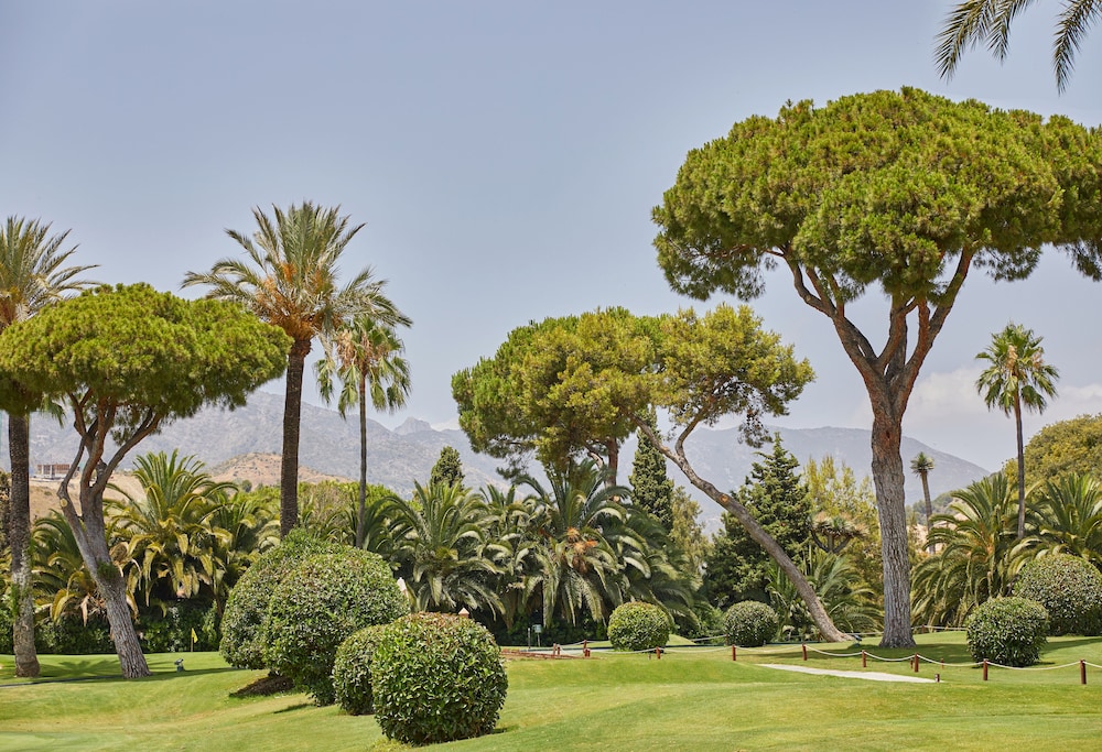 Rio Real Golf & Hotel — Sports & recreation in Marbella, Andalusia