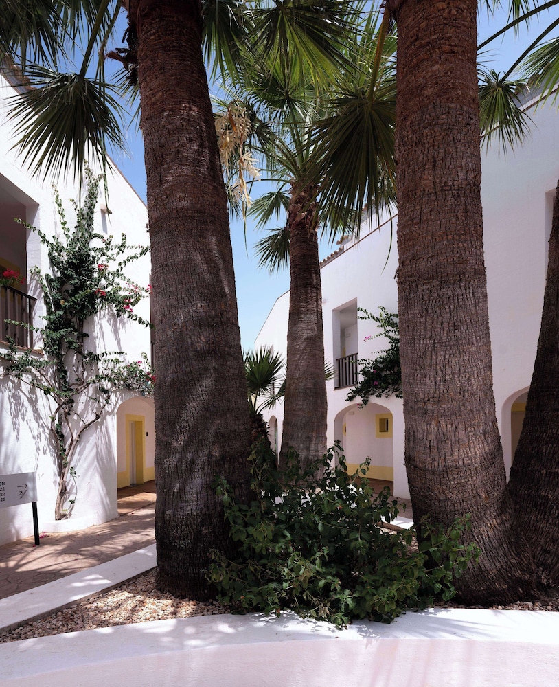 Sol Falcó Menorca — Hotel building in Cala'n Bosch, Balearic Islands