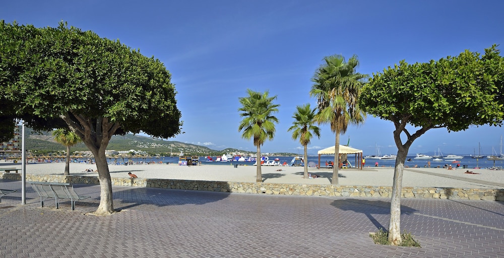 Sol Palmanova Mallorca — Beach in Palma Nova, Balearic Islands