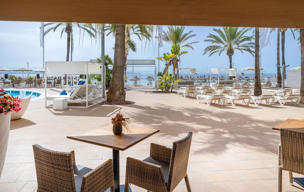 Sol House Mallorca - Adults only — Restaurant & bars in Magaluf, Balearic Islands
