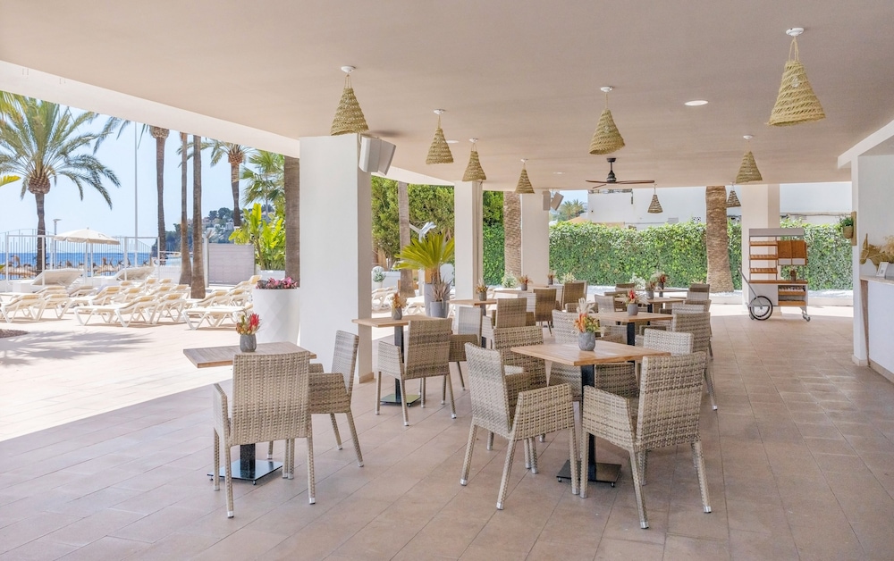 Sol House Mallorca - Adults only — Restaurant & bars in Magaluf, Balearic Islands