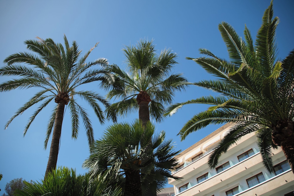 Hotel Son Caliu Spa Oasis — Hotel building in Palma Nova, Balearic Islands