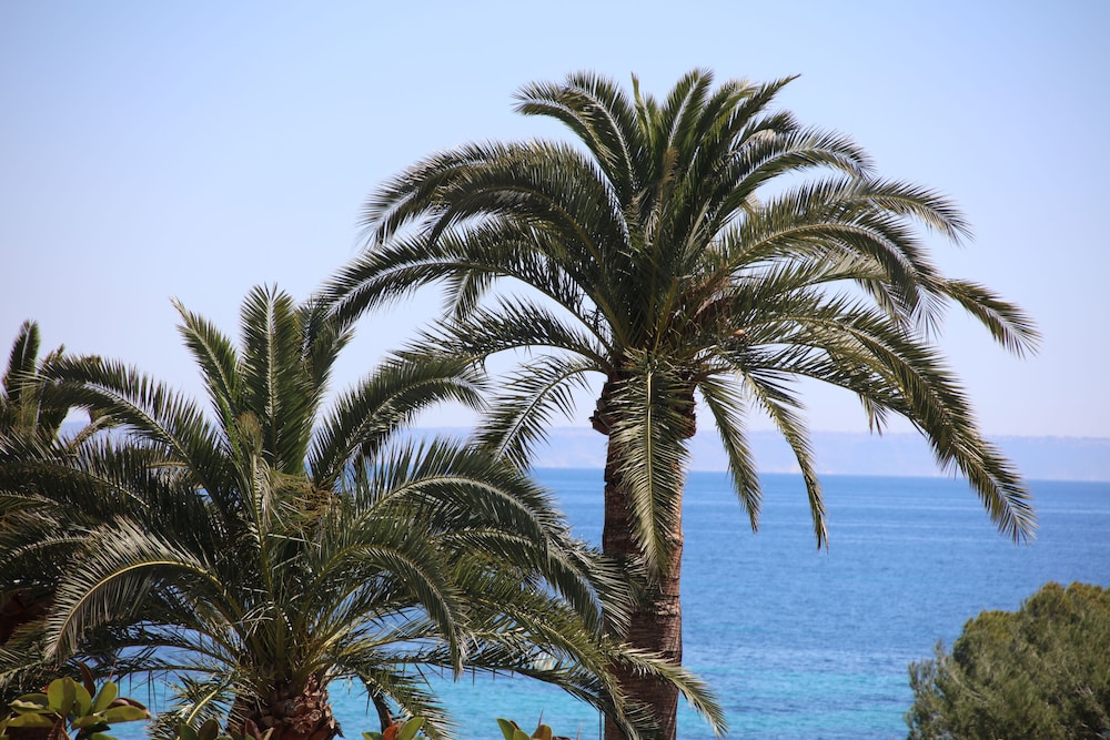 Hotel Son Caliu Spa Oasis — Beach in Palma Nova, Balearic Islands