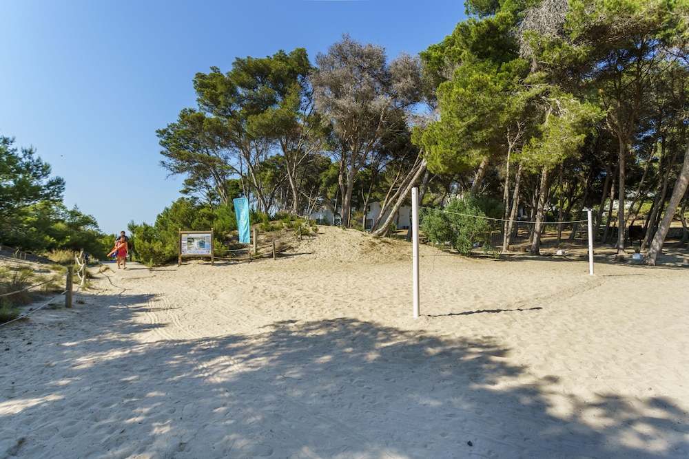 Aparthotel Sol Parc — Beach in Son Parc, Balearic Islands