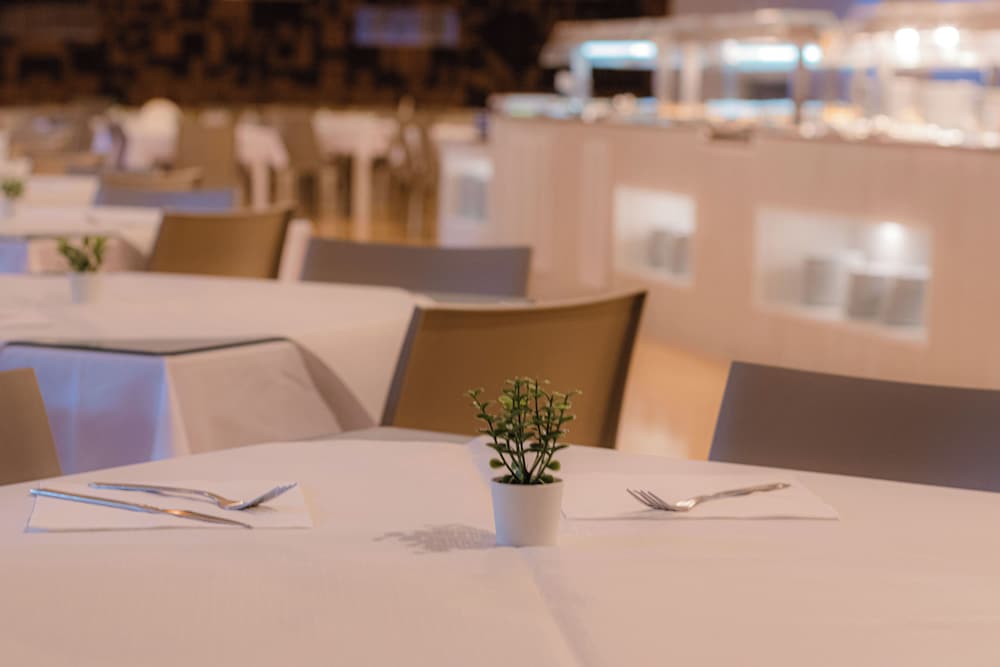 Aparthotel Sol Parc — Restaurant & bars in Son Parc, Balearic Islands