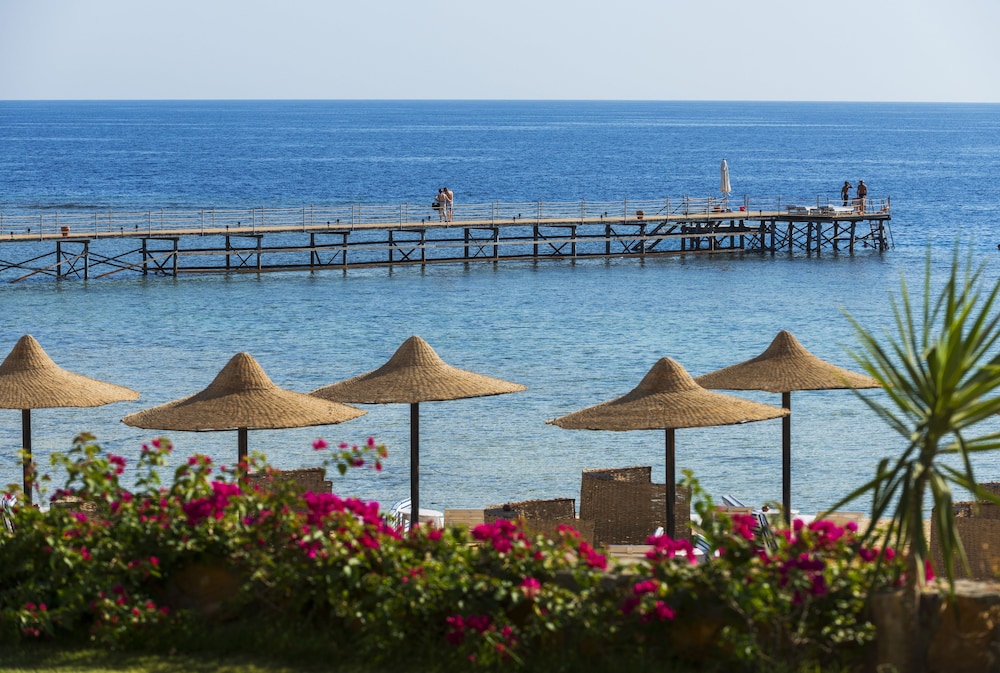 Concorde Moreen Beach Resort & Spa — Beach in Marsa Alam, Red Sea