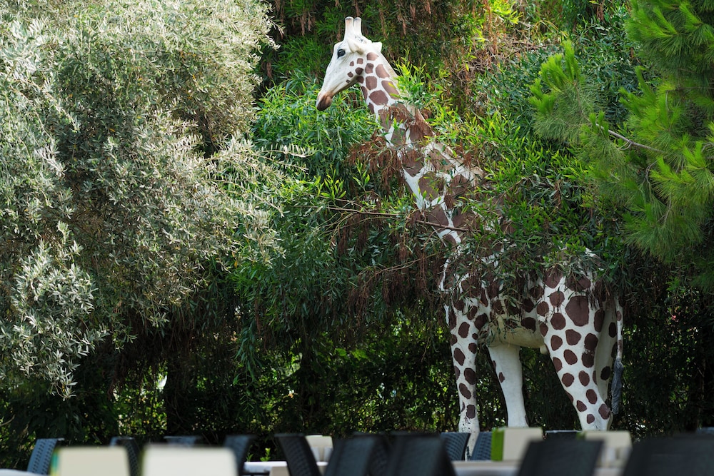 Sural Resort - All Inclusive — Attractions in the area in Side
