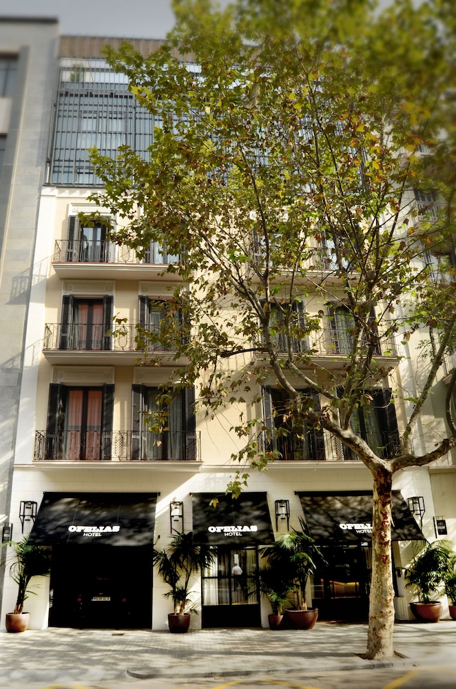 Ofelias Hotel - zdjęcie 2