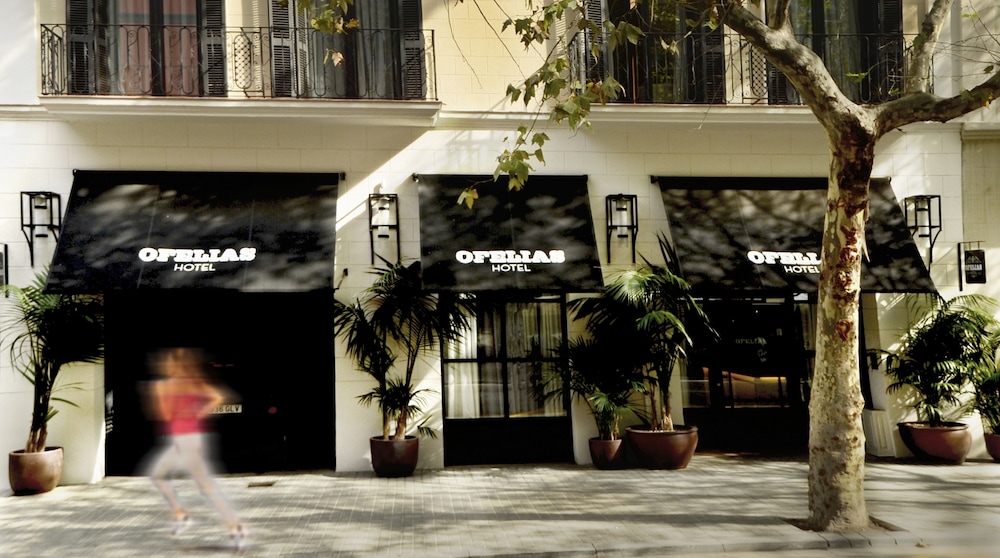 Ofelias Hotel - zdjęcie 3
