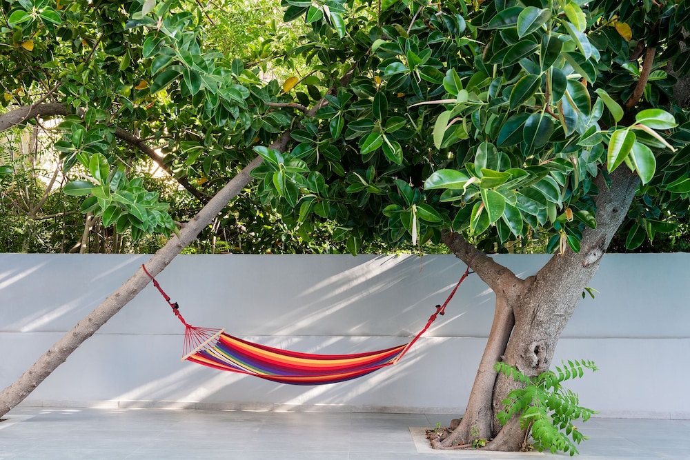 Oktober Downtown Boutique Hotel — Sports & recreation in Rhodes Town, South Aegean
