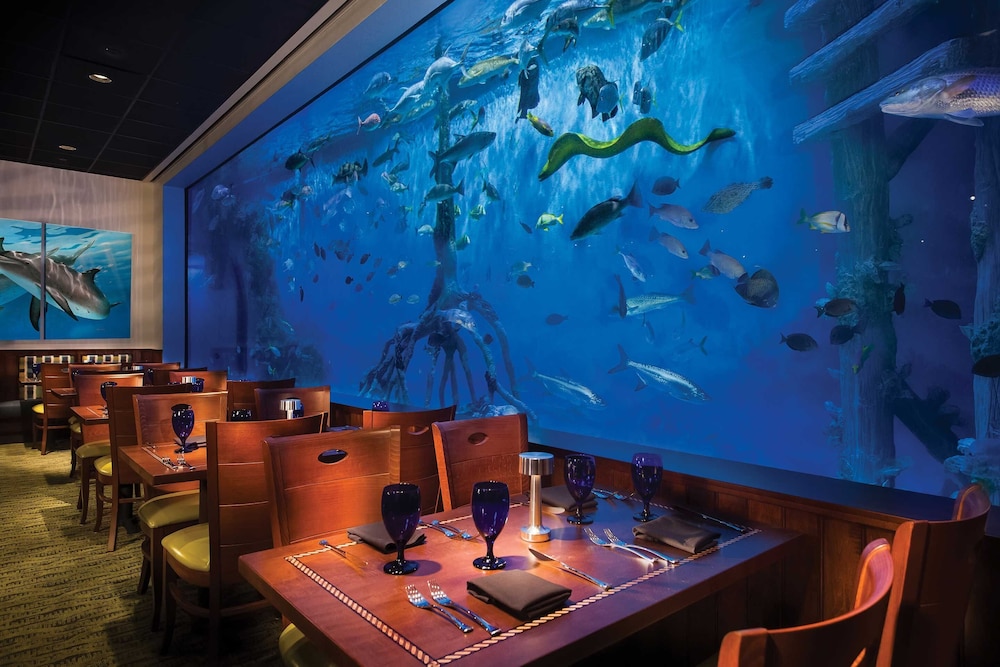 RumFish Beach at TradeWinds — Restaurant & bars in Treasure Island, Florida
