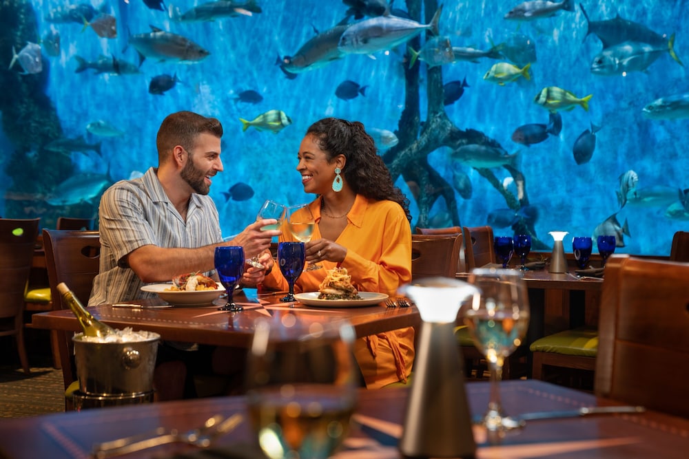 RumFish Beach at TradeWinds — Restaurant & bars in Treasure Island, Florida