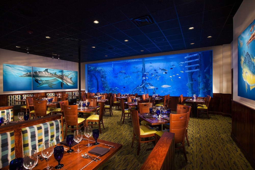 RumFish Beach at TradeWinds — Restaurant & bars in Treasure Island, Florida