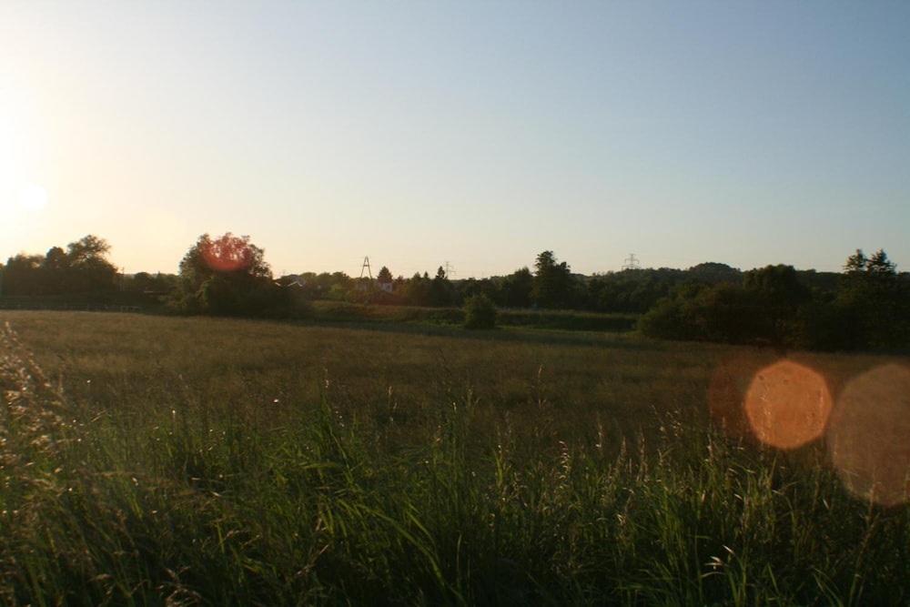 Hotel Daisy Superior — Attractions in the area in Krakow, Lesser Poland