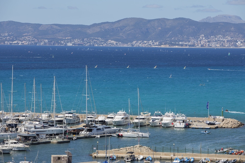 Hotel whala!fun — Attractions in the area in Playa de Palma, Balearic Islands