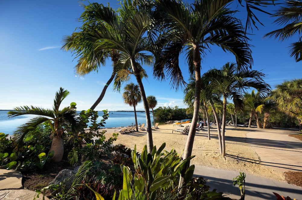 Hampton Inn Key Largo Manatee Bay — Beach in Key Largo, Florida