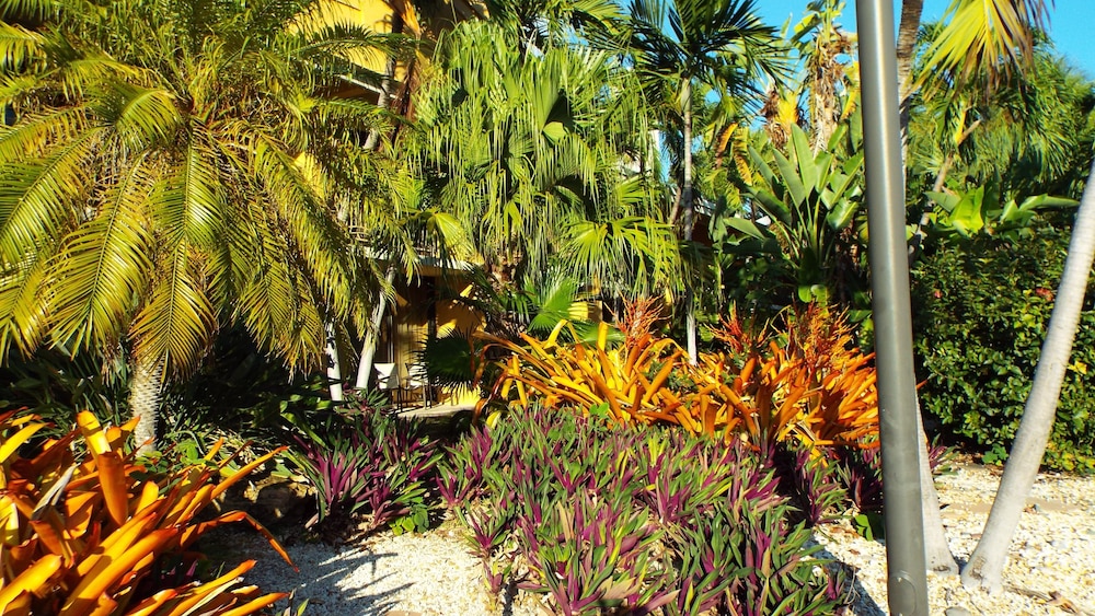 Hampton Inn Key Largo Manatee Bay — Hotel building in Key Largo, Florida