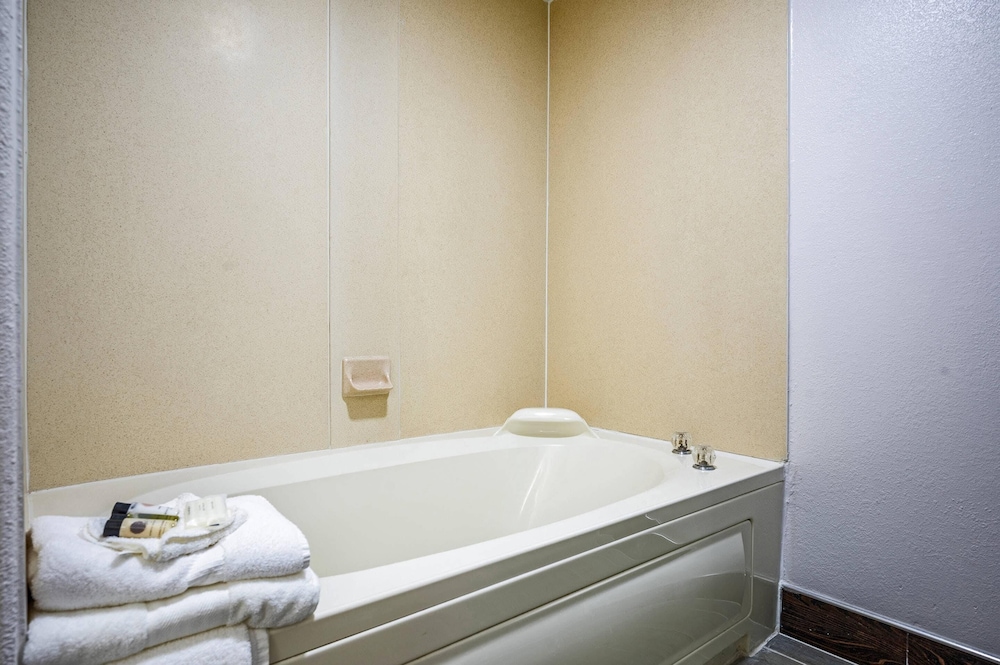 The Leo Collection Detroit, an Ascend Collection Hotel — Hotel rooms in Lincoln Park, Michigan