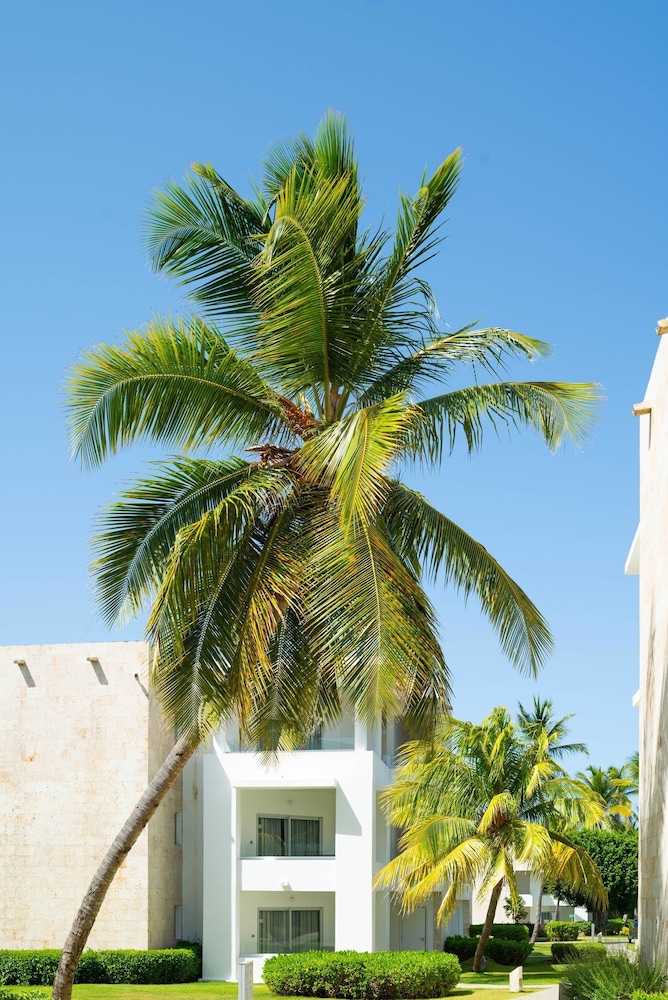 Grand Bavaro Princess - All Inclusive — Outdoor in Bavaro, La Altagracia