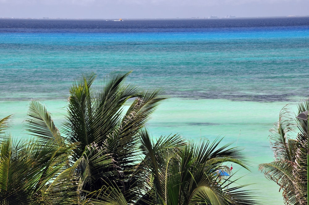 El Taj Oceanfront & Beachside Condo Hotel — Beach in Playa del Carmen, Quintana Roo