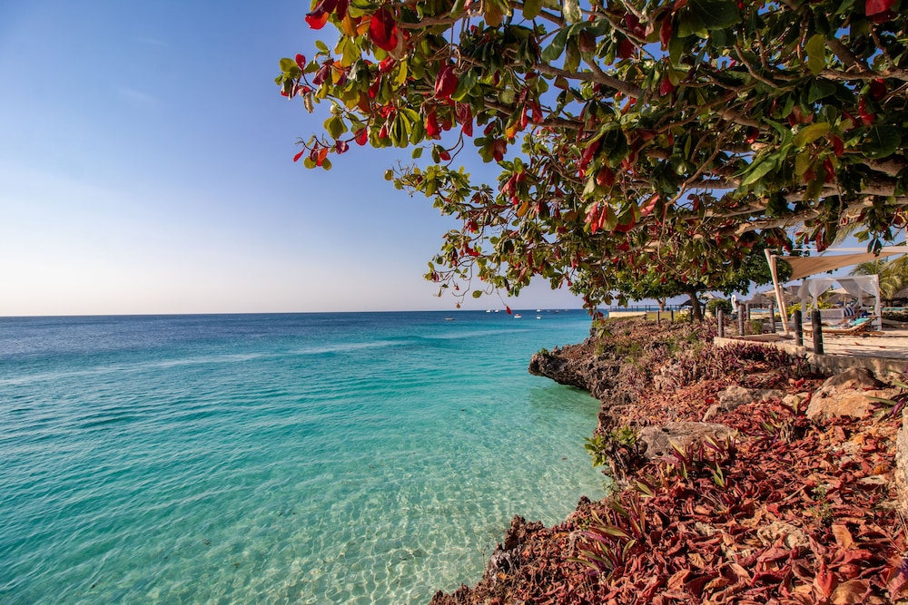 Royal Zanzibar Beach Resort All Inclusive — Beach in Nungwi, Zanzibar North