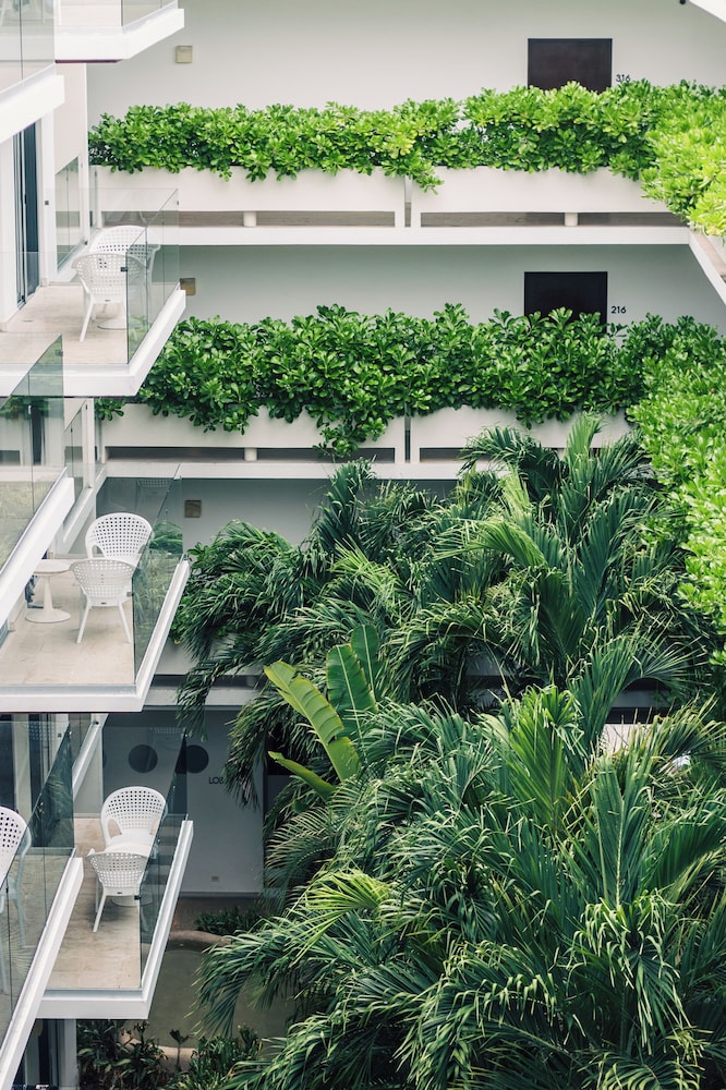 Antera Hotel & Residences — Shared spaces in Playa del Carmen, Quintana Roo