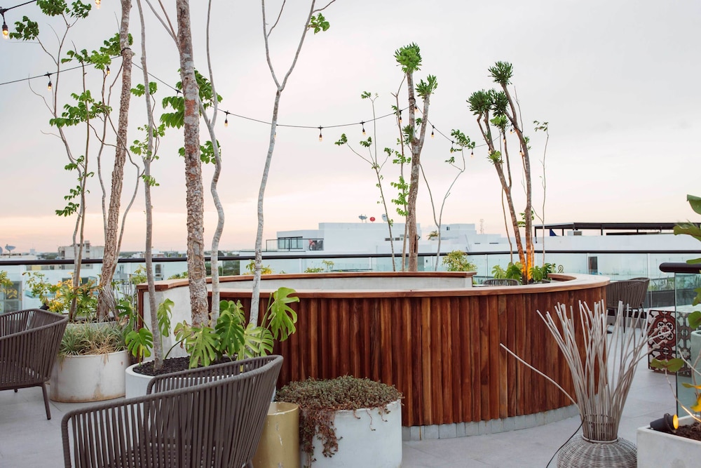 IT Boutique Hotel & Restaurant — View in Playa del Carmen, Quintana Roo