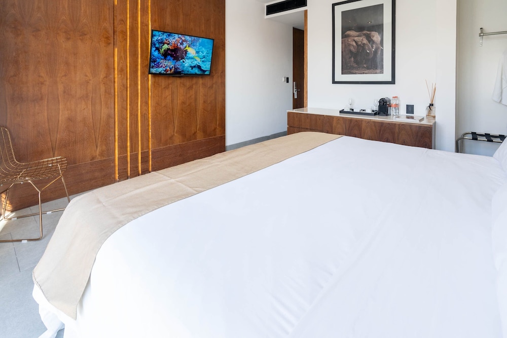 IT Boutique Hotel & Restaurant — Rooms in Playa del Carmen, Quintana Roo